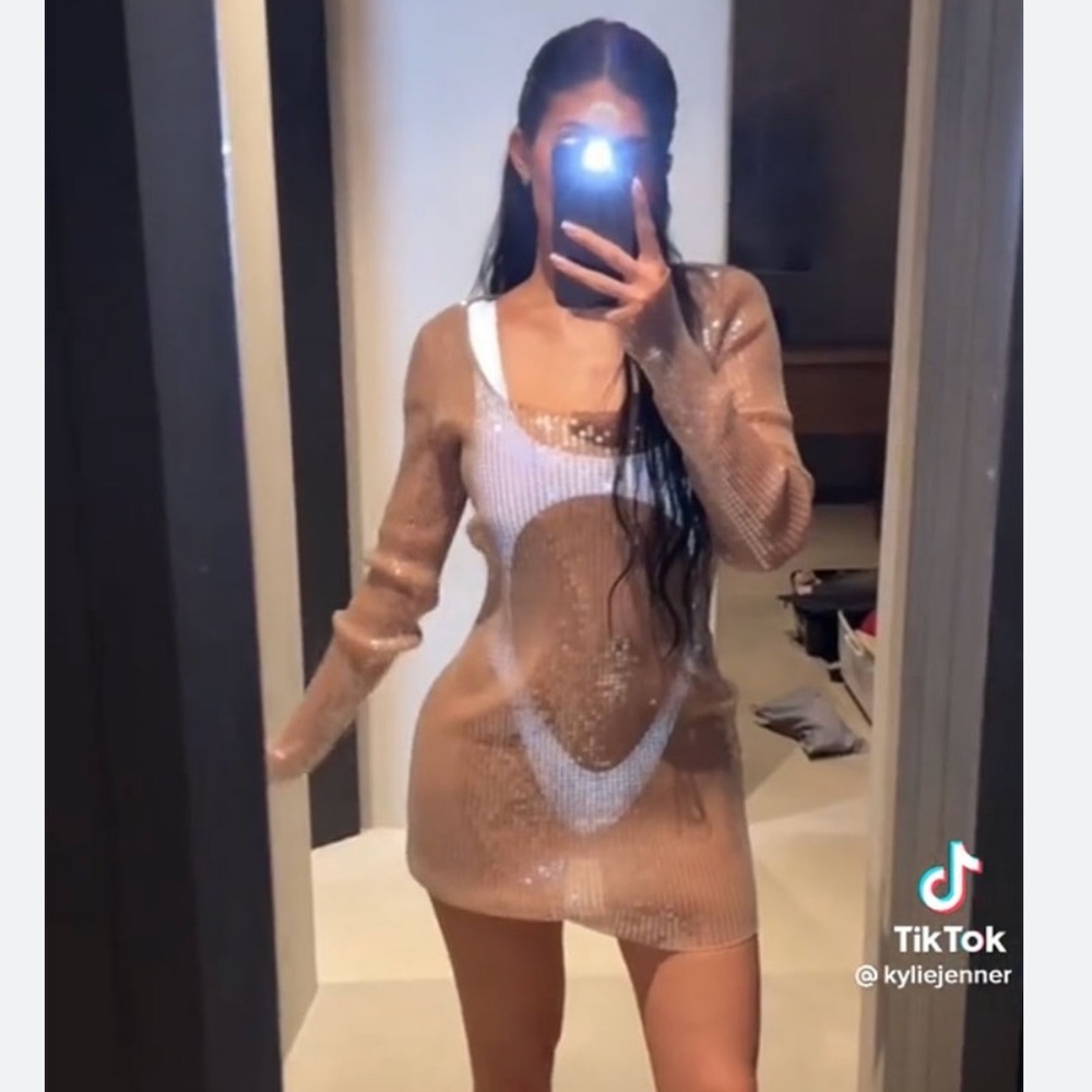 Kylie Jenner Alexander wang sequence dress